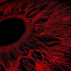 欧洲女同ⅤideoHD
